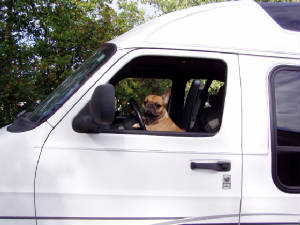 WILMADRIVING007.jpg