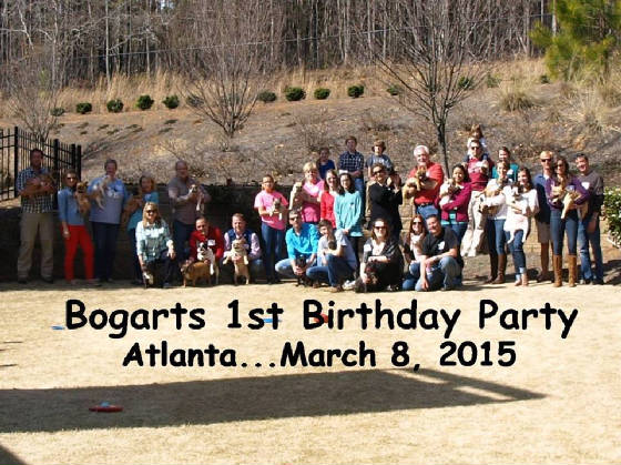 bogartsbirthday.jpg