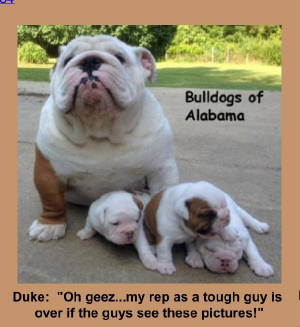 duke1.jpg