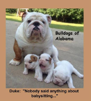 duke2.jpg