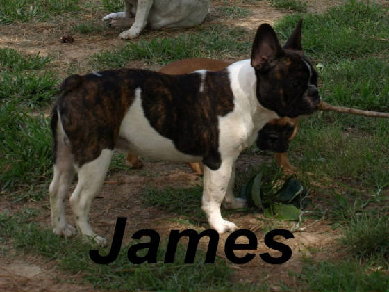 james1.jpg