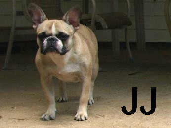 JJ.jpg